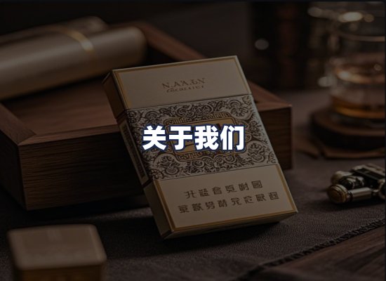 关于我们